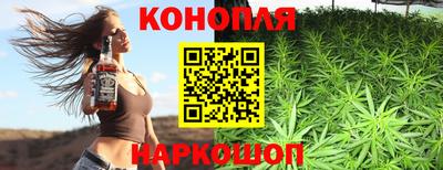 spice Моздок